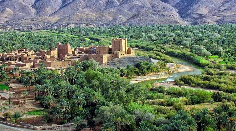 Moroccan Desert Oases